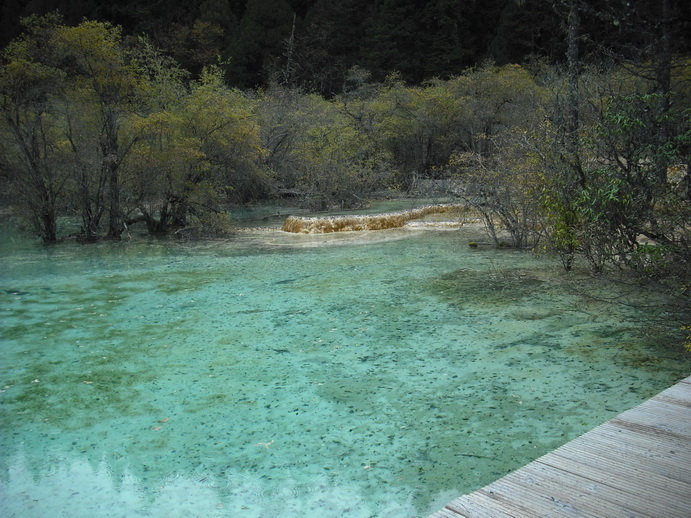 DSCF7870.JPG