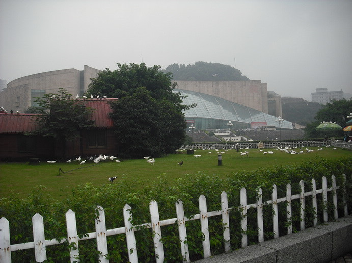 DSCF7965.JPG