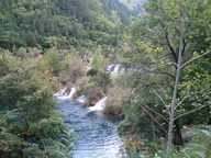 IMG_0107.JPG