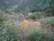 IMG_0115.JPG