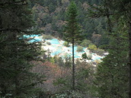 IMG_0141.JPG