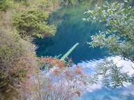 IMG_0118.JPG