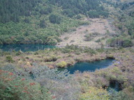IMG_0121.JPG