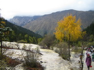 IMG_0231.JPG