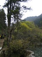 IMG_0205.JPG
