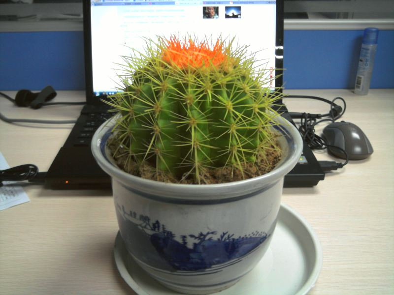 2010-10-24 20.51.41.jpg