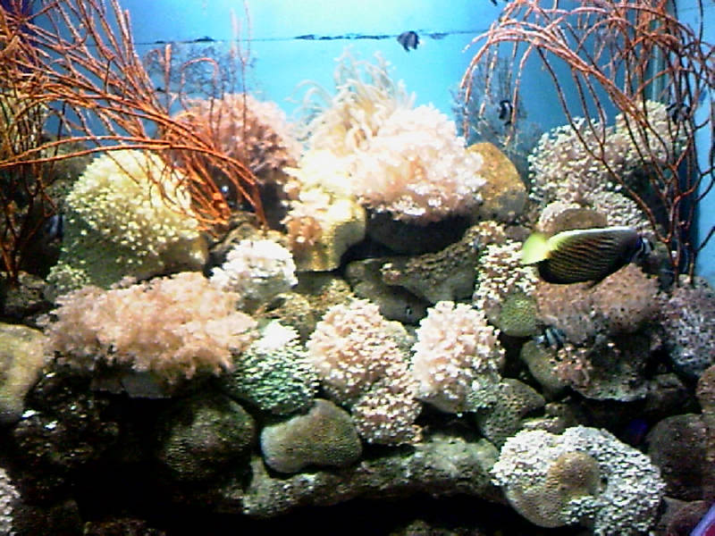 101020A025.jpg