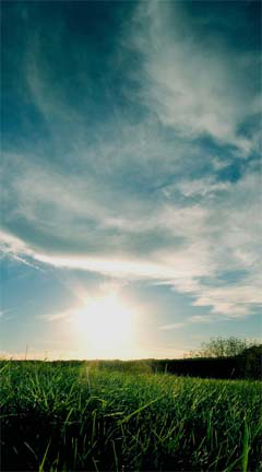 2.bmp