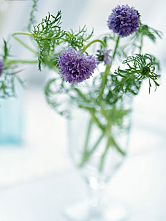 8c9c7490-a9d0-4adb-ae20-c40b0797c9b6.jpg