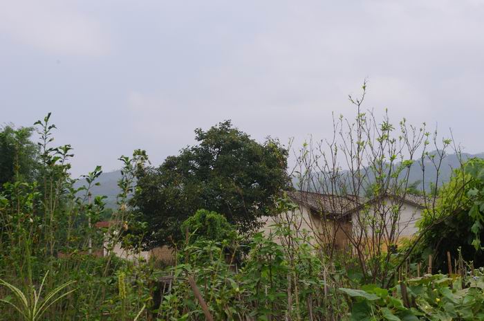 IMGP6512.JPG