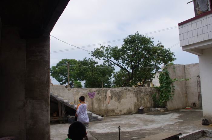 IMGP6515.JPG