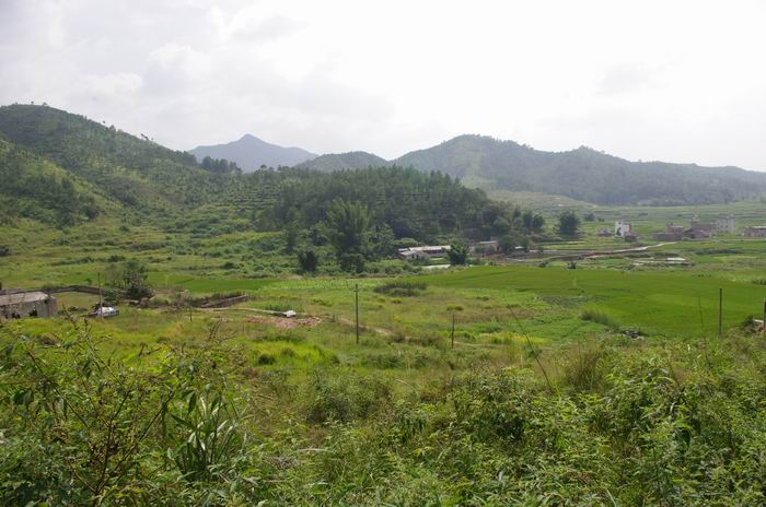 IMGP6575.JPG