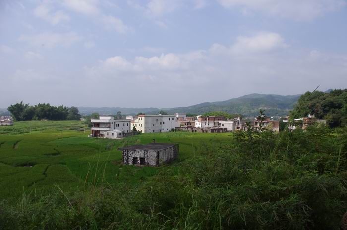 IMGP6620.JPG