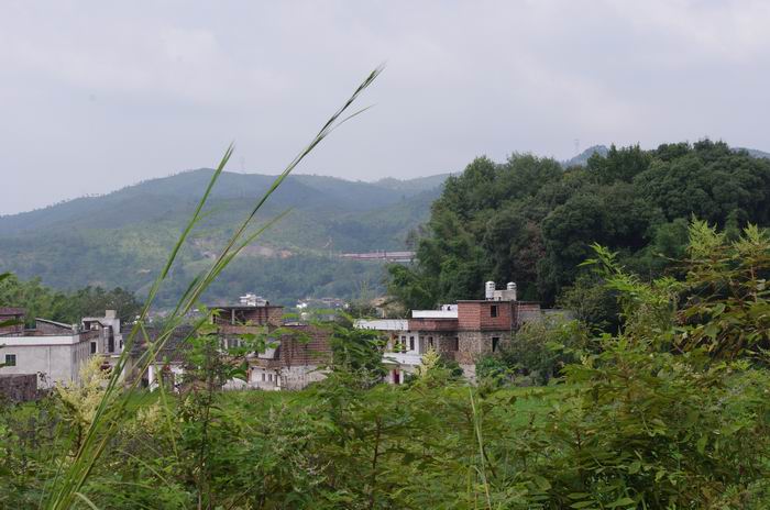 IMGP6622.JPG