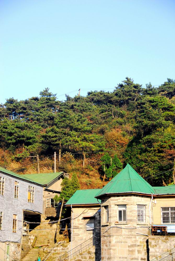 20101030_011.jpg