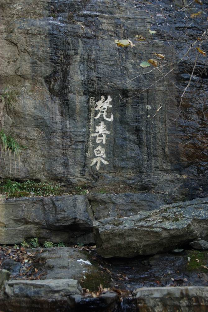 20101030_128.jpg