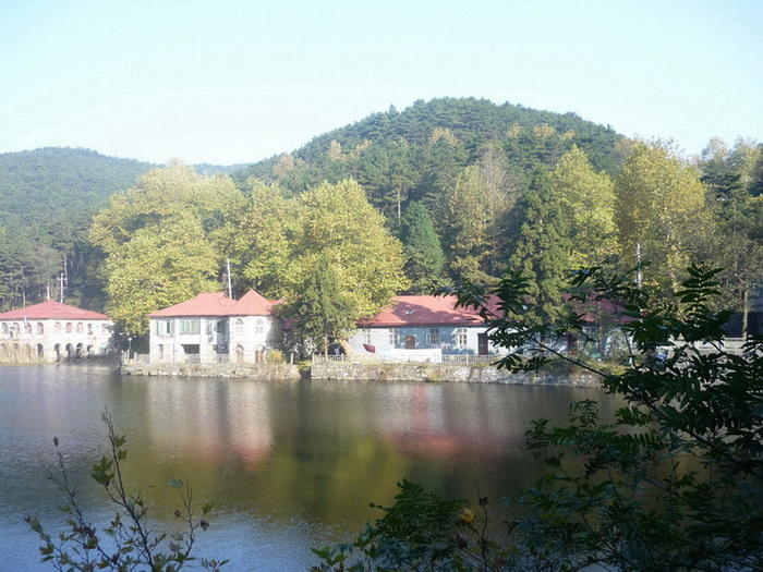 P1050597.jpg