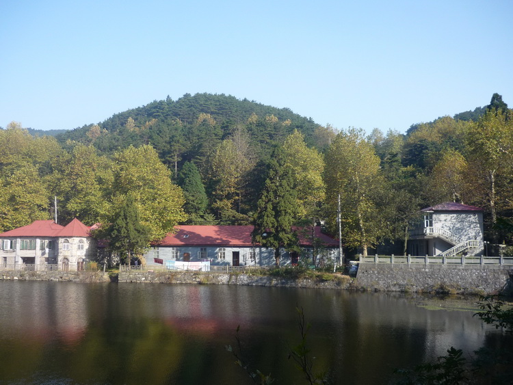 P1050599.jpg
