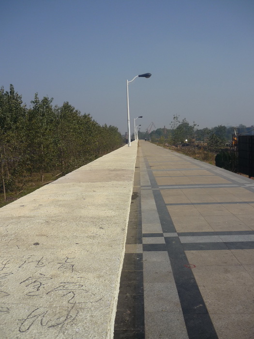P1050970.jpg