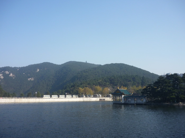 P1050626.jpg