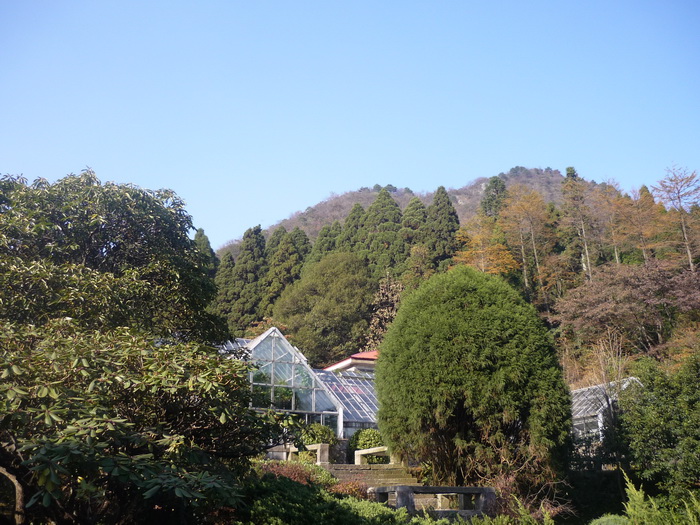 P1050848.jpg