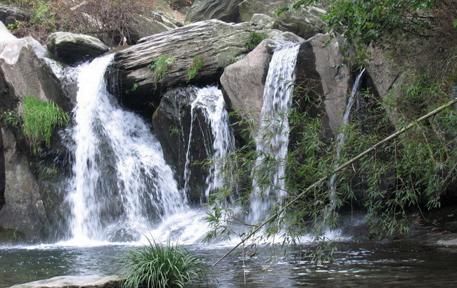2010300207.jpg