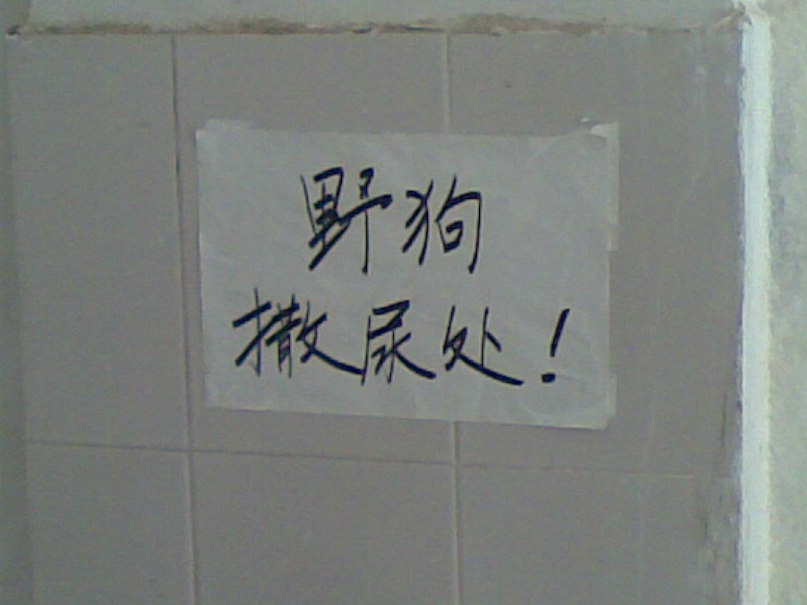 20101112.jpg