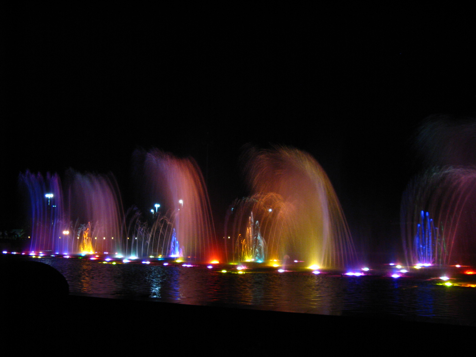 IMG_3221.JPG