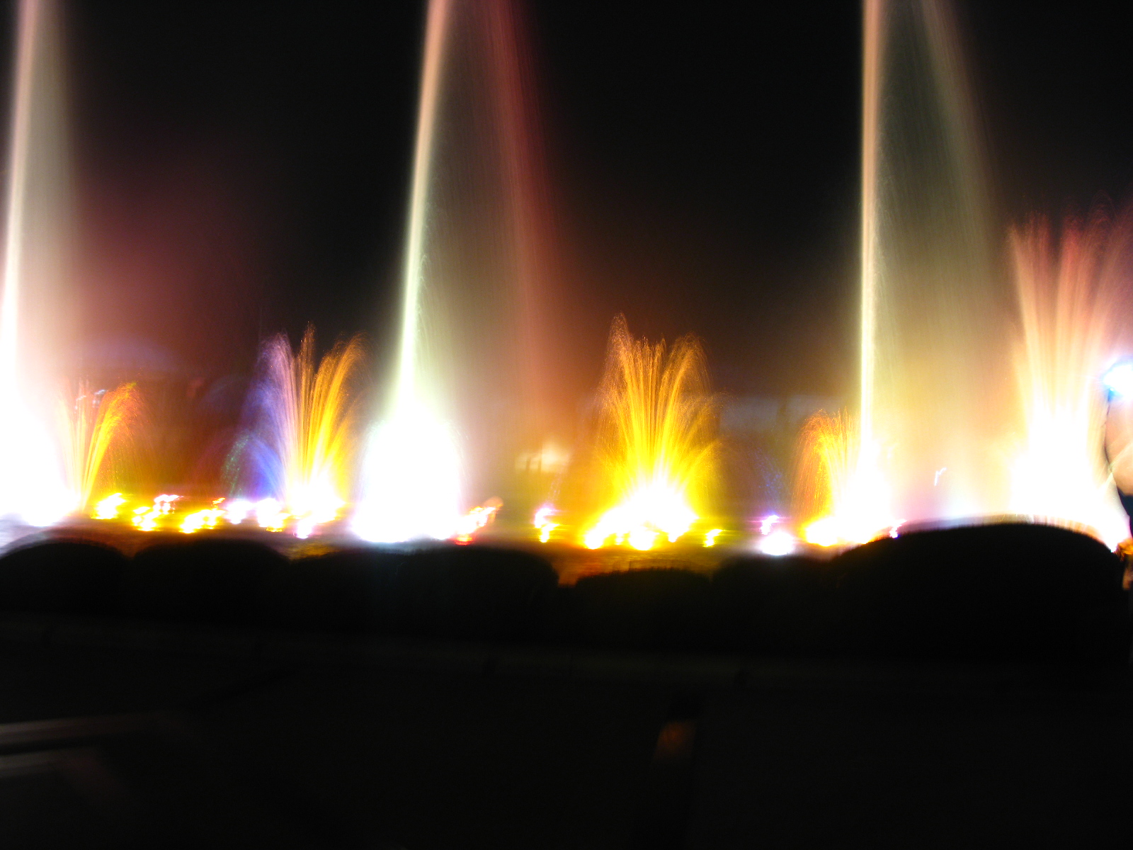 IMG_6732.jpg