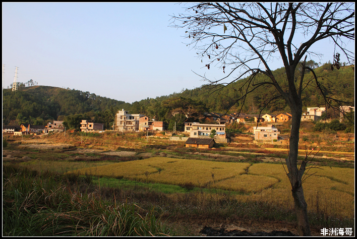 DPP_00106.jpg
