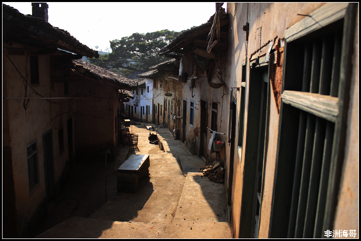 DPP_00019.jpg