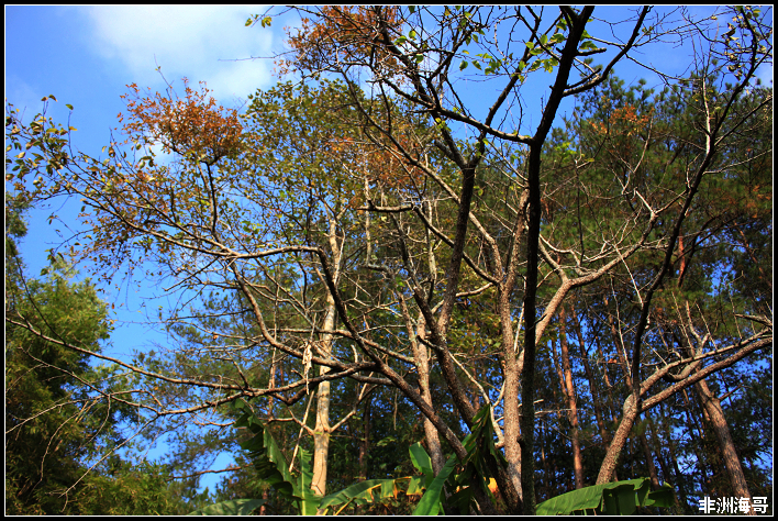 DPP_00017.jpg