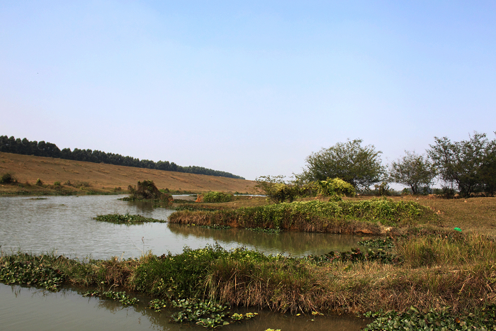 DPP_00017.jpg