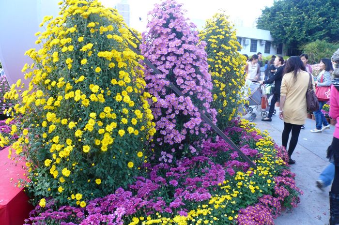 P1130538.JPG