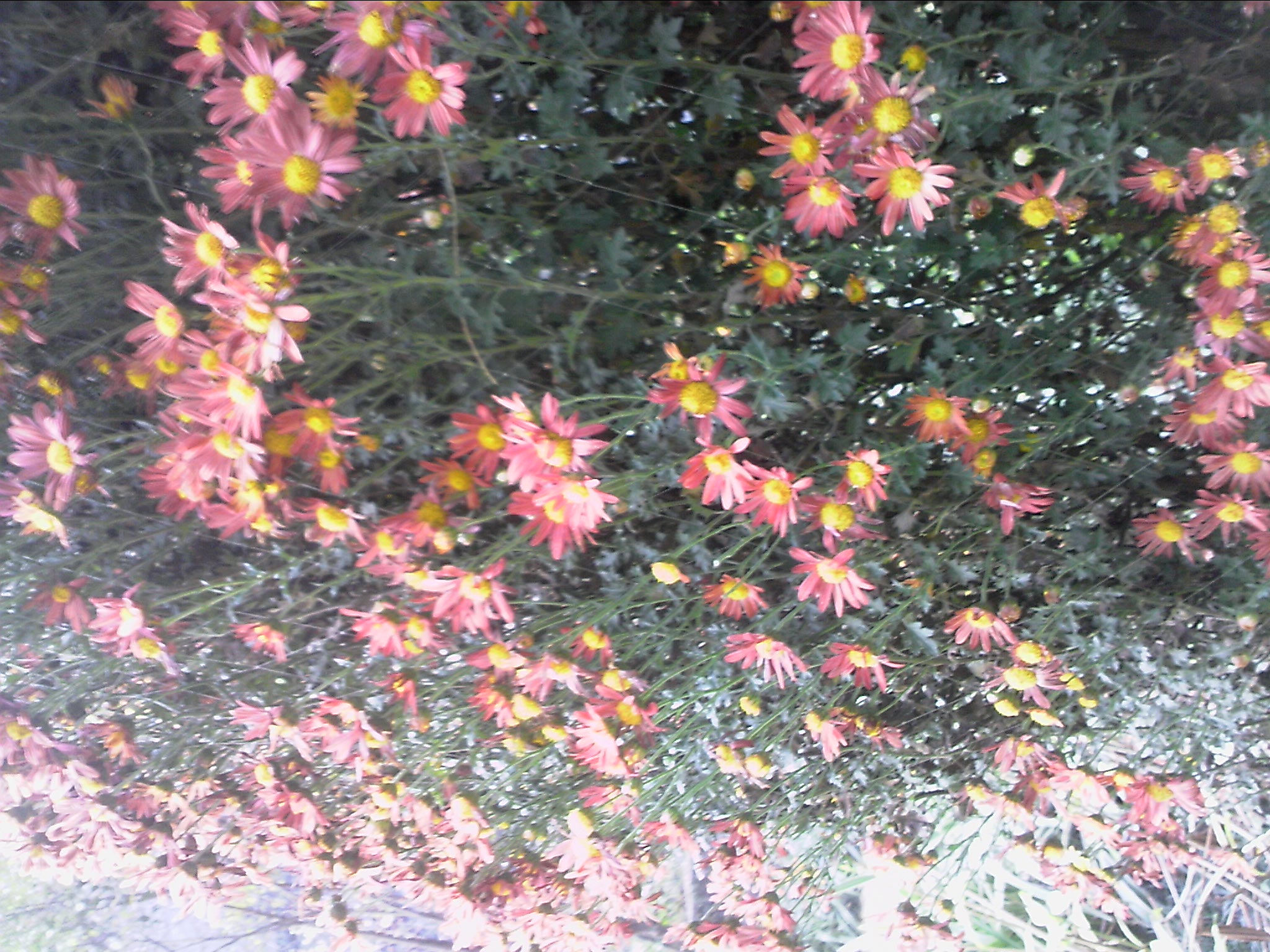 101204A037.jpg