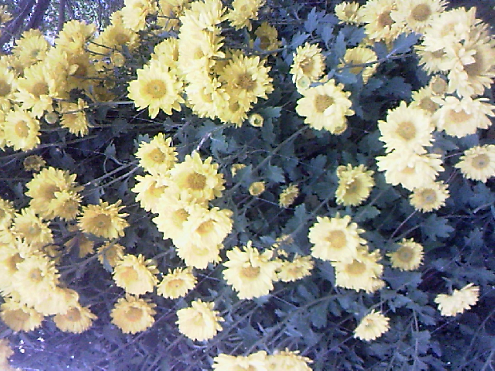 101204A027.jpg