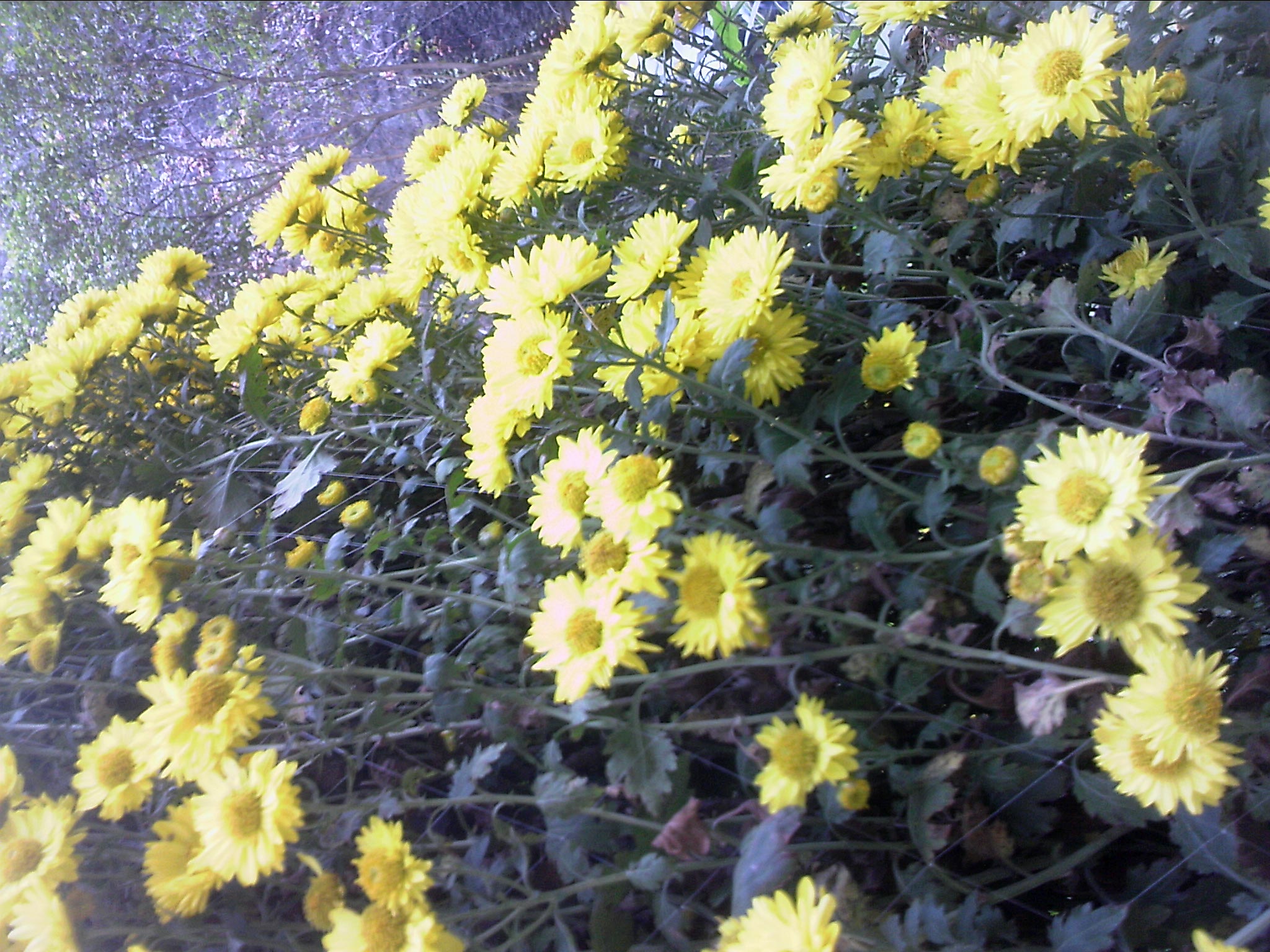 101204A040.jpg
