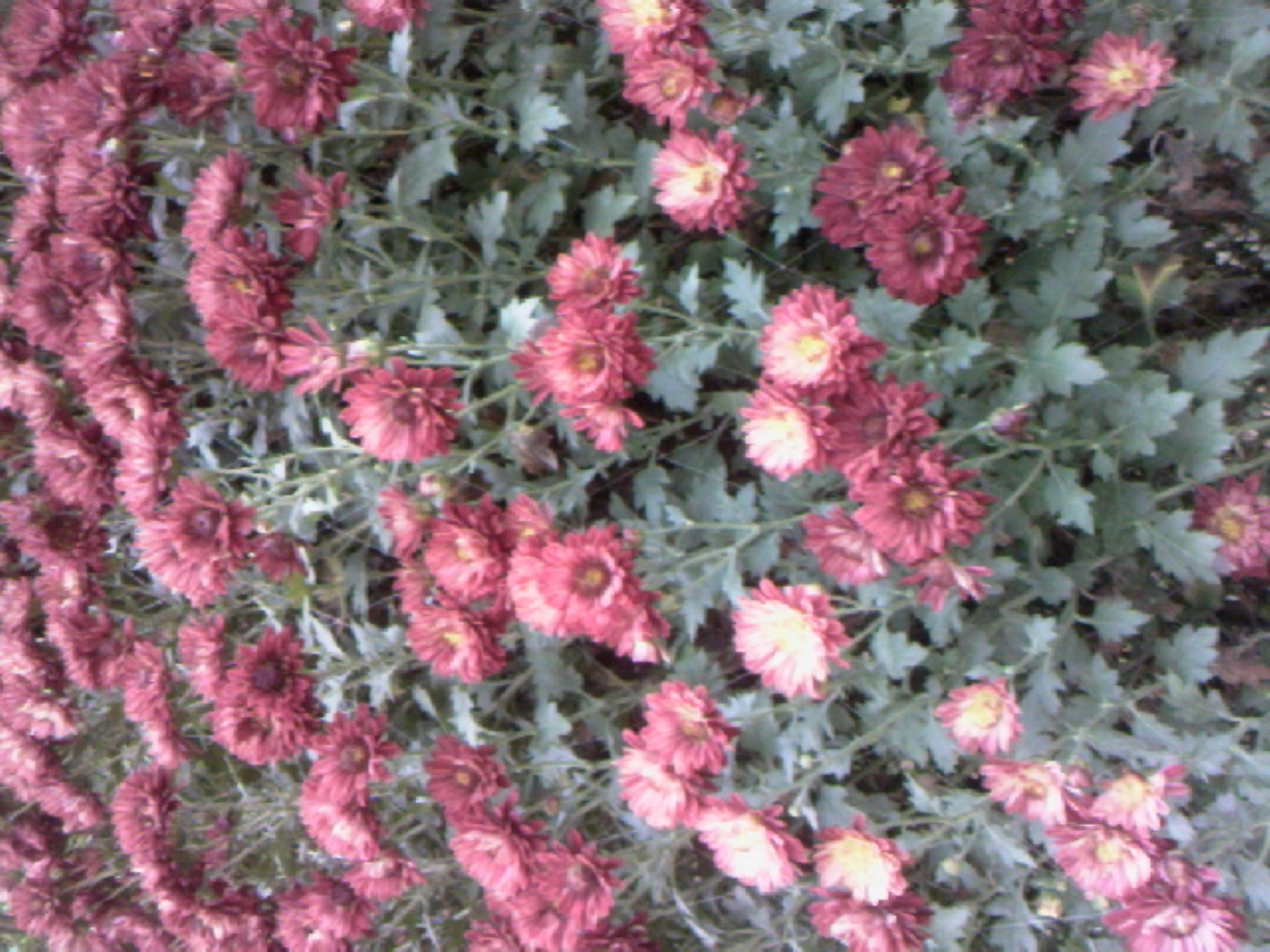 101204A022.jpg