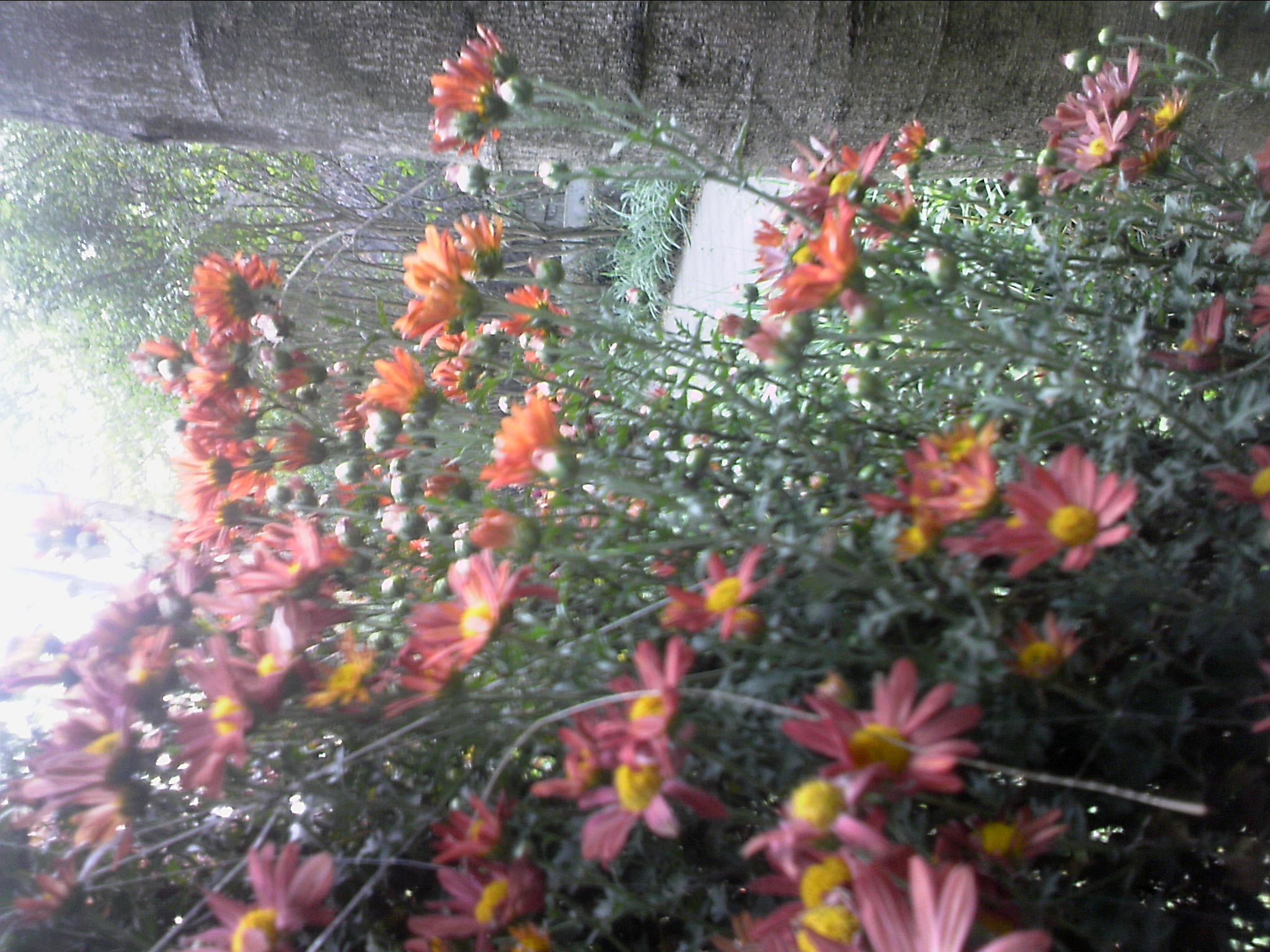 101204A034.jpg