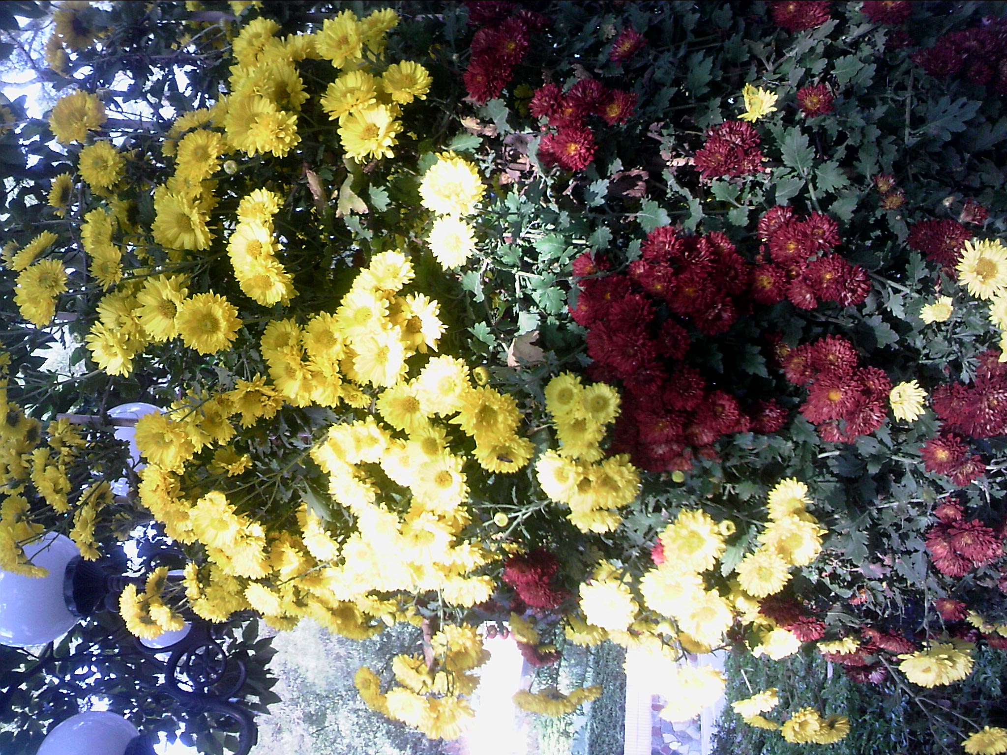 101204A015.jpg