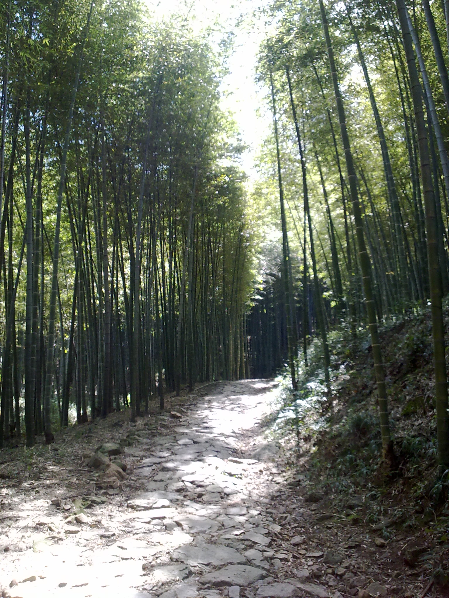 Ƭ 004.jpg
