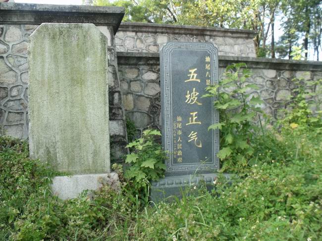 DSCF3247.jpg