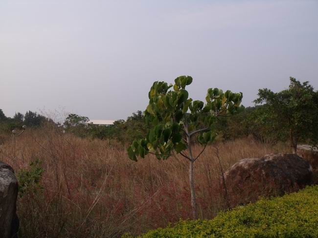 DSCF3056.jpg