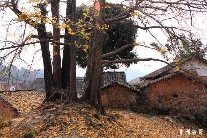 DPP_00030.jpg