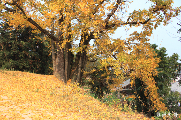 DPP_00037.jpg