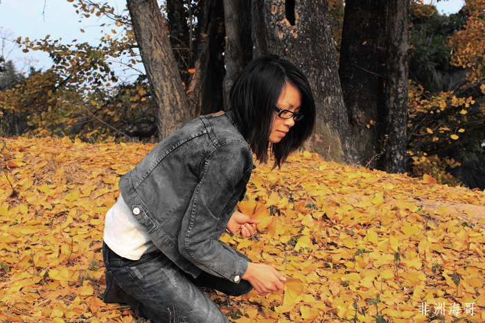 DPP_00045.jpg