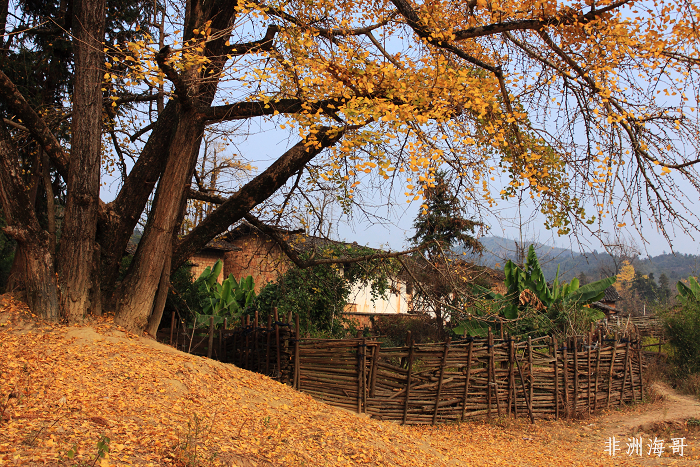 DPP_00245.jpg