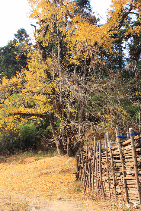 DPP_00253.jpg