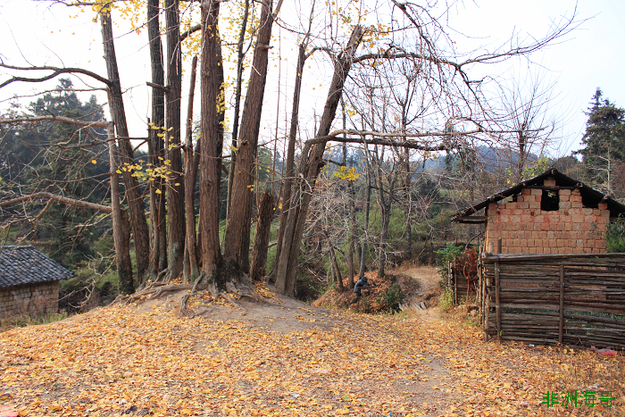 DPP_00259.jpg