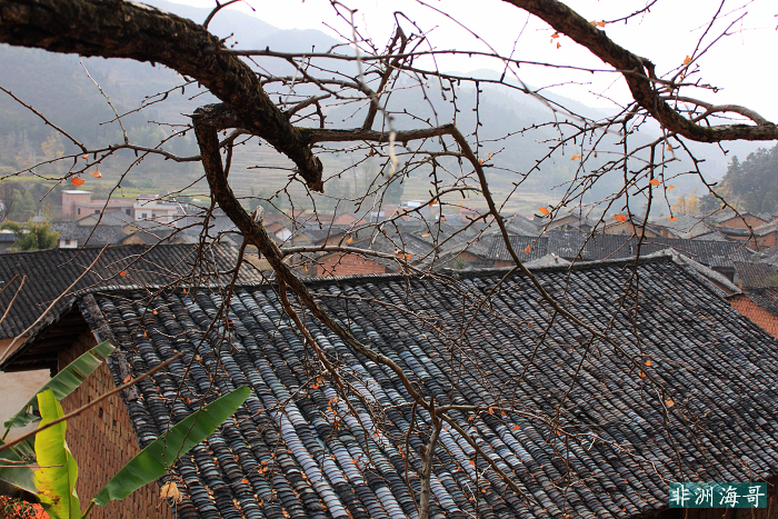 DPP_00277.jpg